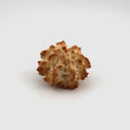 Rocher Noix de Coco